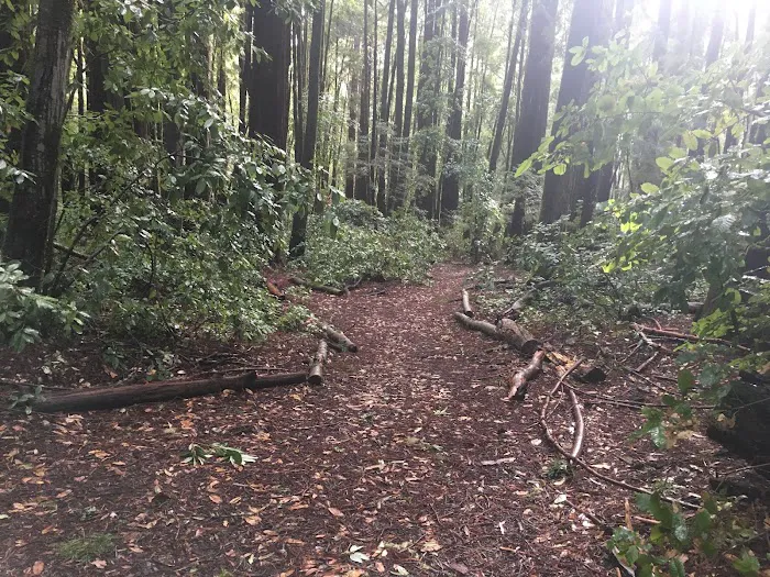 Slate Creek Trail Campground Picture 1
