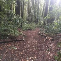 Slate Creek Trail Campground ico