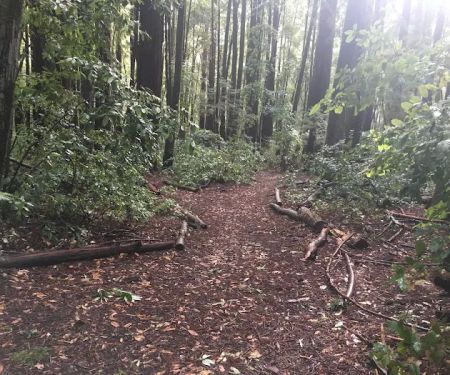 Slate Creek Trail Campground