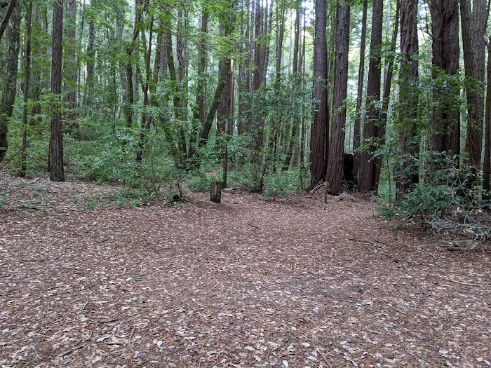 Slate Creek Trail Campground Picture 3