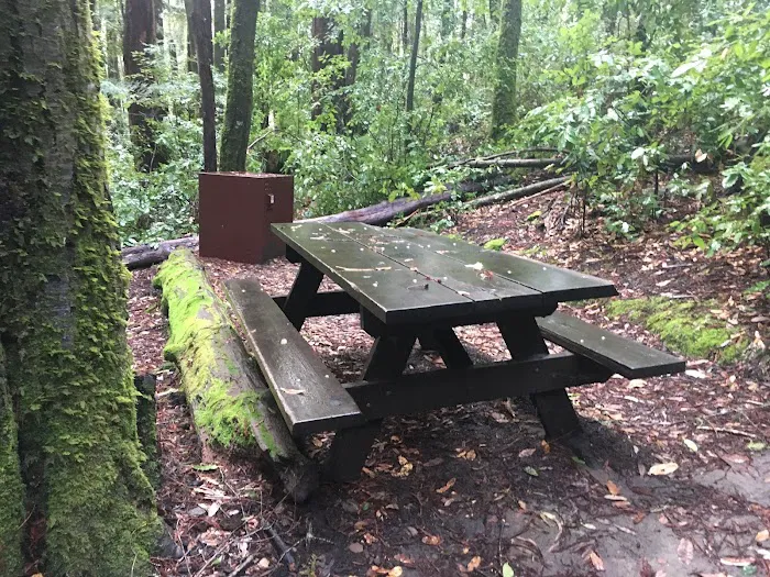 Slate Creek Trail Campground Picture 7