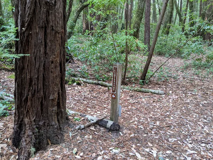 Slate Creek Trail Campground Picture 5