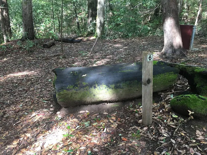 Lane Trail Camp Picture 1
