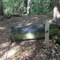 Lane Trail Camp ico