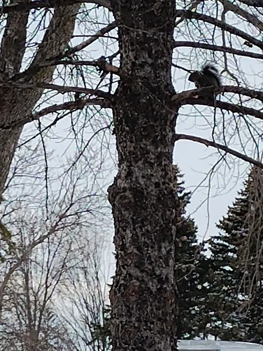 Green Acres Mobile Home & RV Park Picture 4