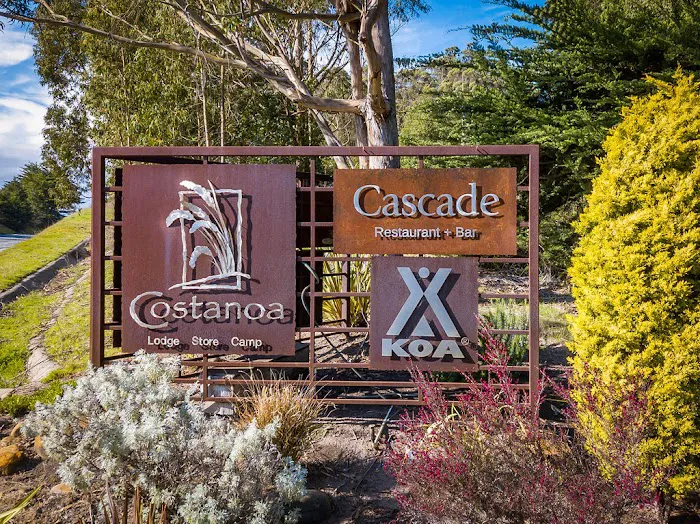 Santa Cruz North / Costanoa KOA Picture 4