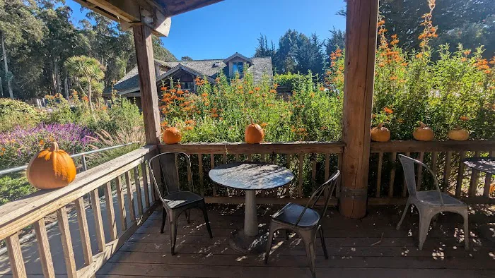 Costanoa Picture 1