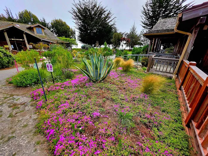 Costanoa Picture 3