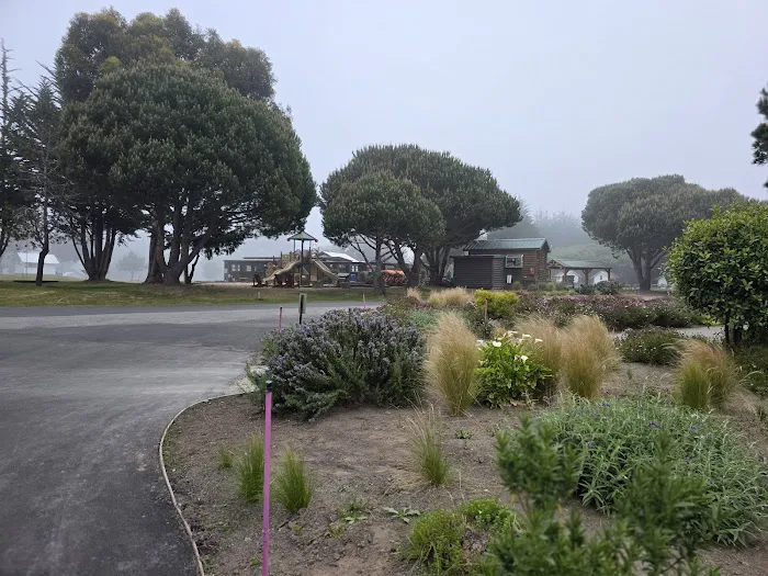Costanoa Picture 6