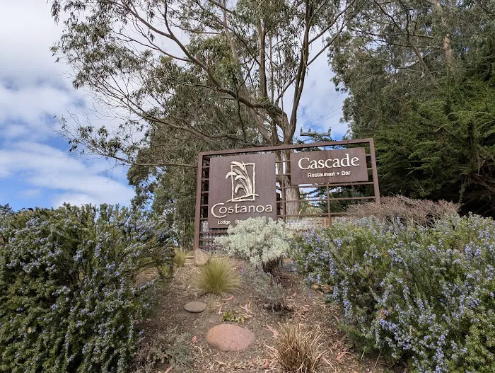 Costanoa Picture 4