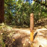 Waterman Gap Trail Camp