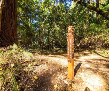Waterman Gap Trail Camp