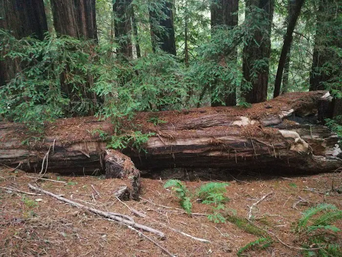 Waterman Gap Trail Camp Picture 9