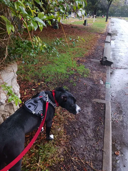 Sanborn Rv Campground Picture 3