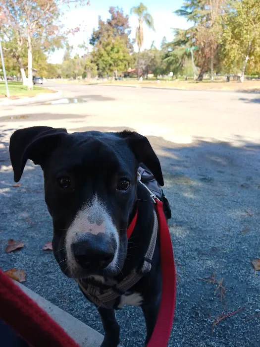 Sanborn Rv Campground Picture 7