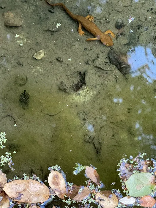 Sanborn Rv Campground Picture 9