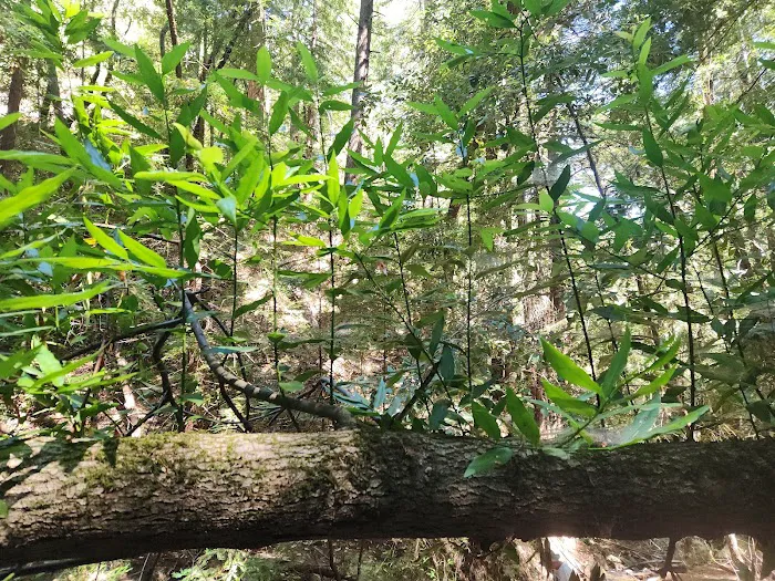 Sanborn Rv Campground Picture 8