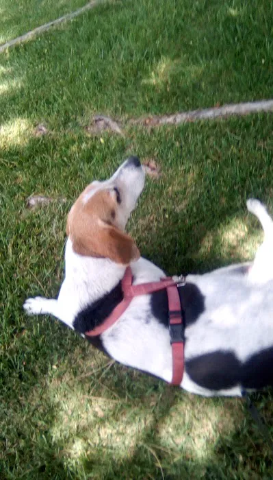 Sanborn Rv Campground Picture 10