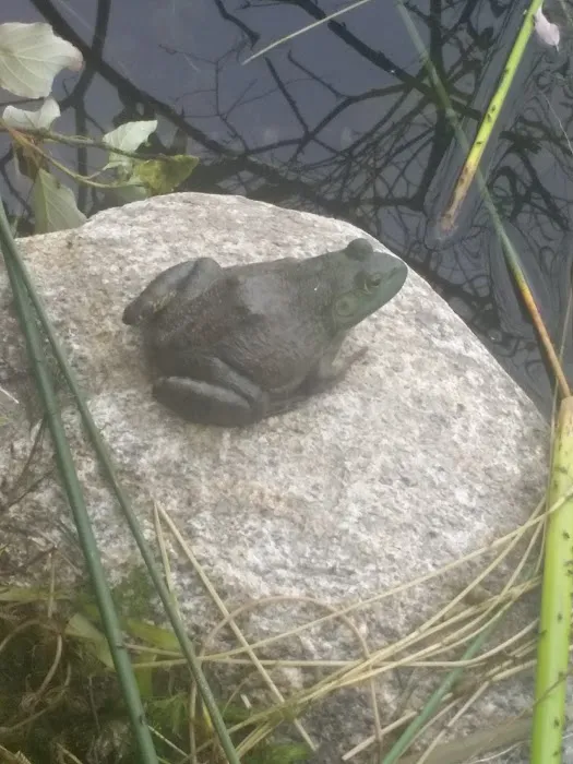 Brophy Bay RV Park Picture 2