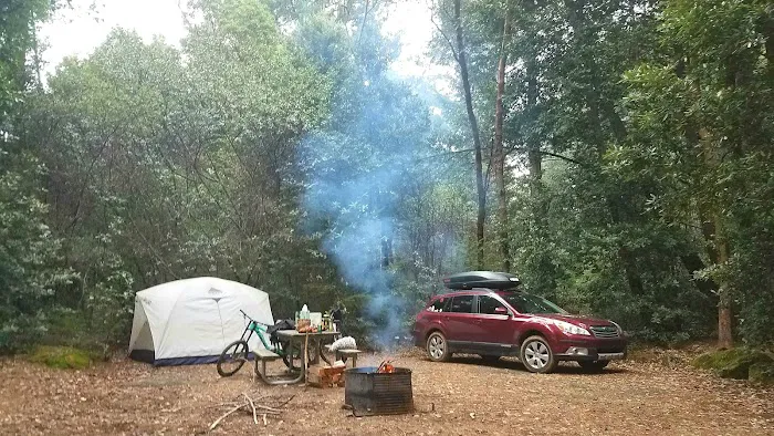 Tolkan Campground Picture 5
