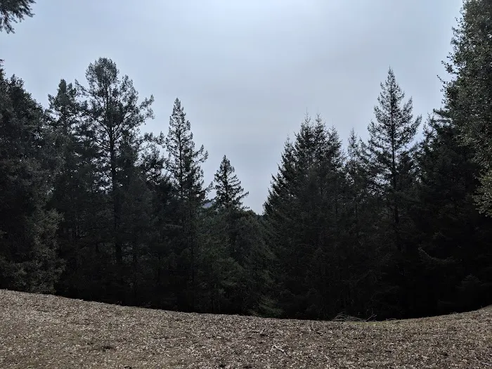 Tolkan Campground Picture 6