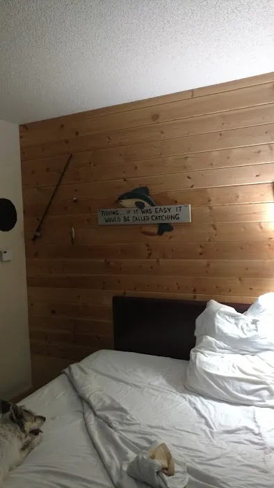 RV There Yet Picture 8