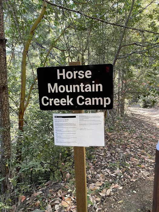 Horse Mountain Creek Camp Picture 1