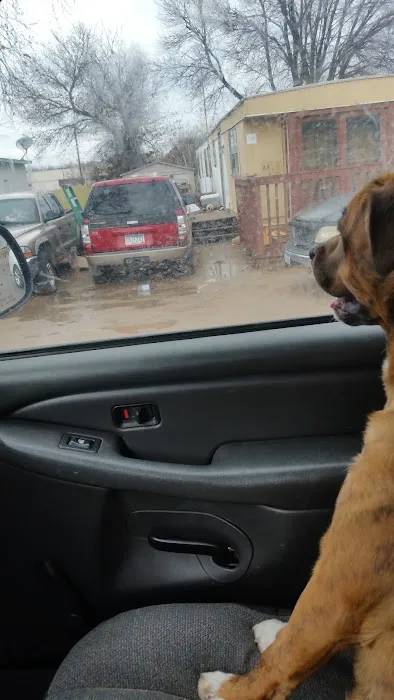 Viking City MHP Picture 7