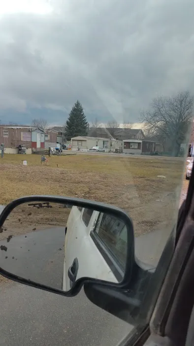 Viking City MHP Picture 1