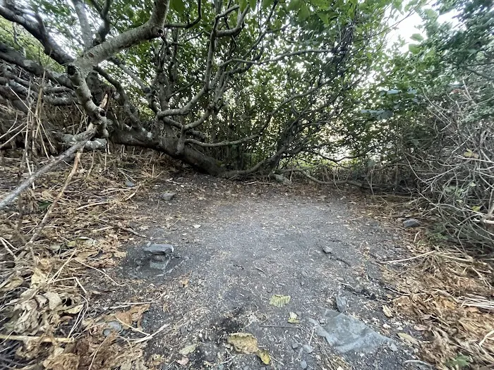 Buck Creek Camp Picture 9