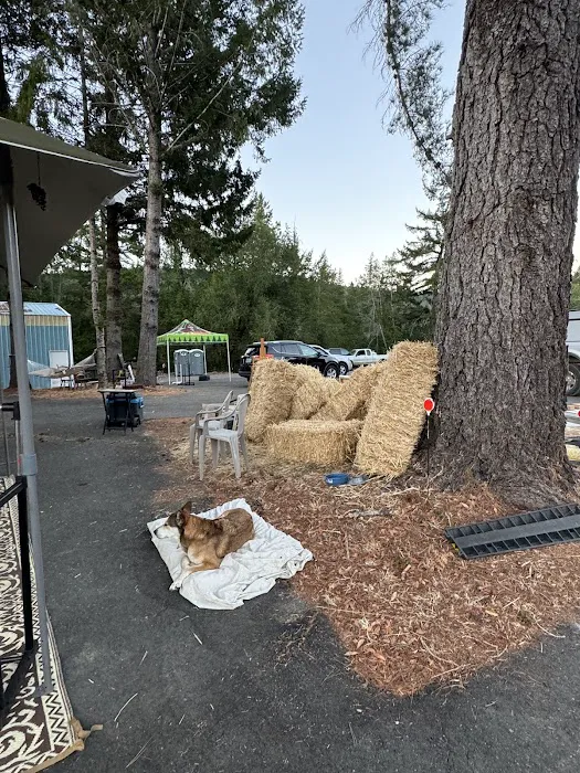 Salmon Creek Mountain View Retreat Picture 7