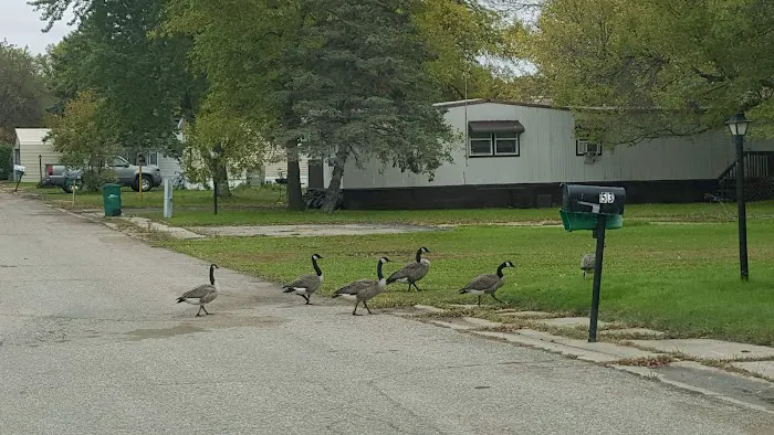 Viking Lakes Village Mobile Home Park Picture 1