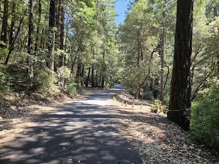Hidden Springs Campground Picture 8