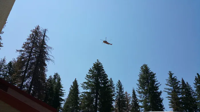 Usda Forest Services Picture 1