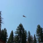 Usda Forest Services