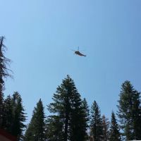 Usda Forest Services ico