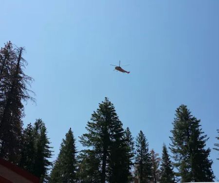 Usda Forest Services