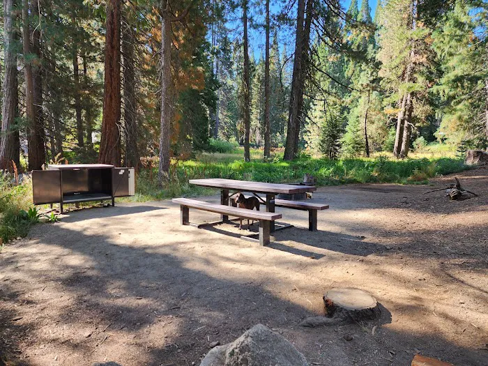 Dora Belle Campground Picture 2