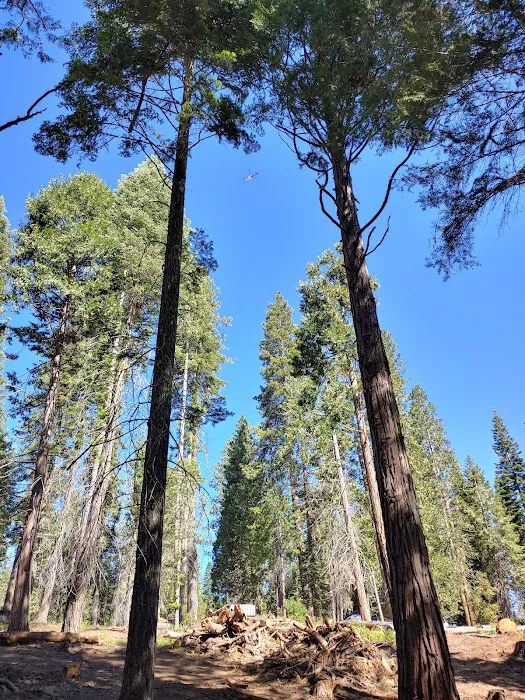 Dora Belle Campground Picture 7