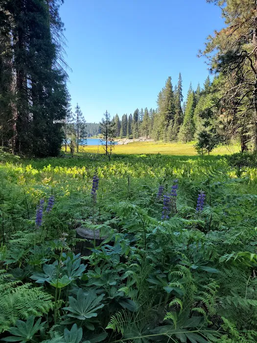 Dora Belle Campground Picture 4