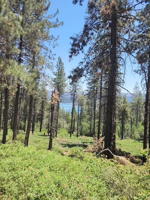 Dora Belle Campground Picture 8