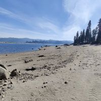 Camp Edison ico