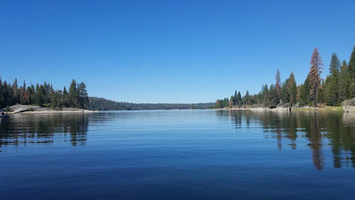 Camp Edison Picture 5