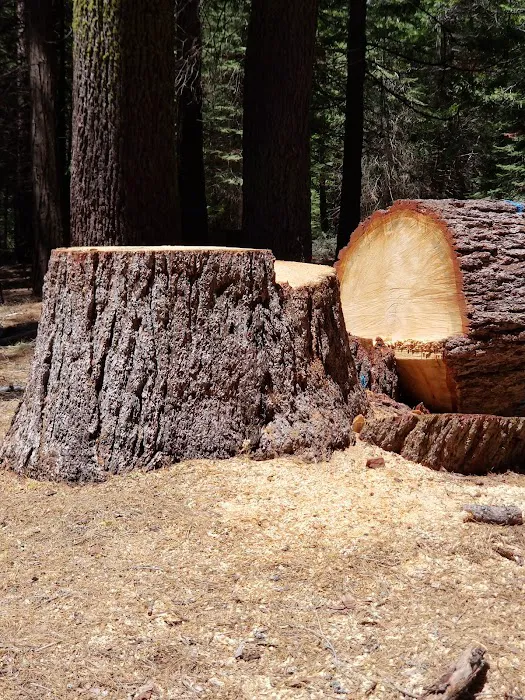 Swanson Campground Picture 3