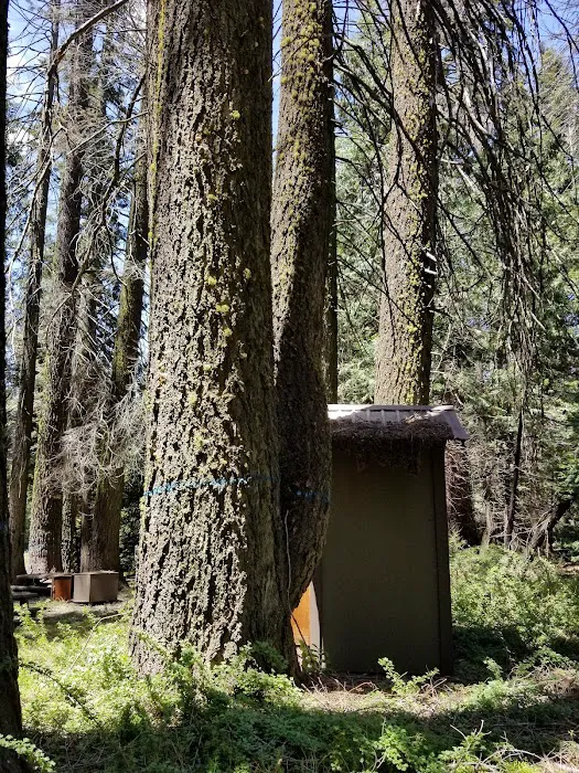 Swanson Campground Picture 6