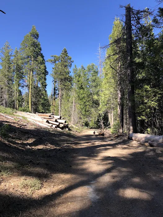 Whisky Falls Campground Picture 4