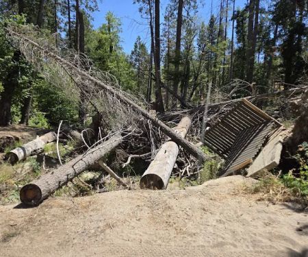 Fish Creek Campground