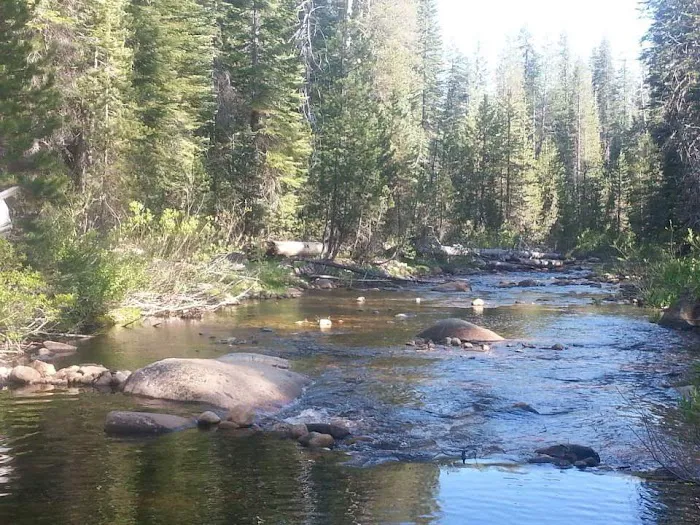 Upper Chiquito Campground Picture 1