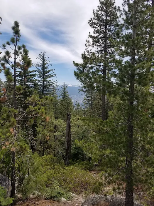 Upper Chiquito Campground Picture 6