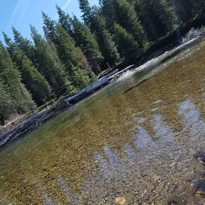 Upper Chiquito Campground Picture 9